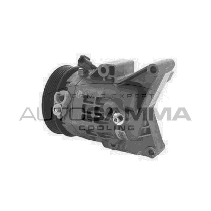 Kompresorius, oro kondicionierius AUTOGAMMA 118665