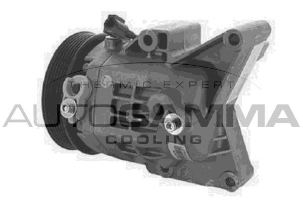 Kompresorius, oro kondicionierius AUTOGAMMA 118665