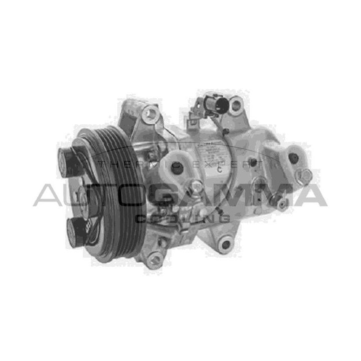 Kompresorius, oro kondicionierius AUTOGAMMA 118668