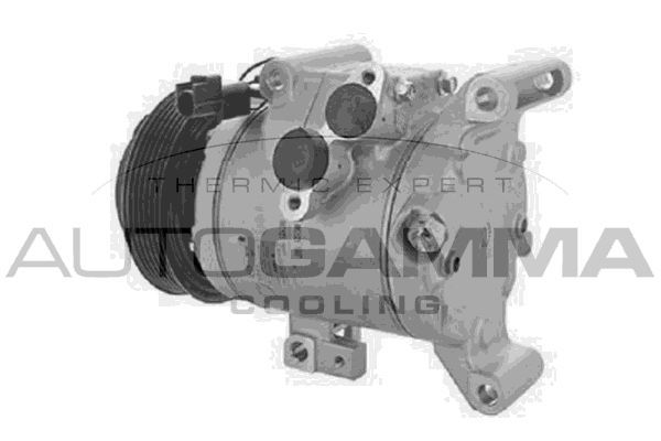 Kompresorius, oro kondicionierius AUTOGAMMA 118669