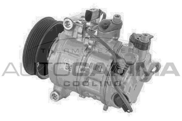 Kompresorius, oro kondicionierius AUTOGAMMA 118700