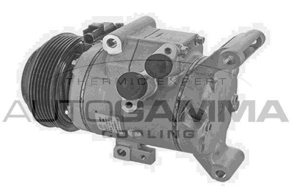 Kompresorius, oro kondicionierius AUTOGAMMA 118705
