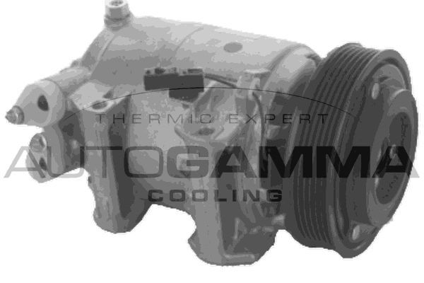 Kompresorius, oro kondicionierius AUTOGAMMA 118747