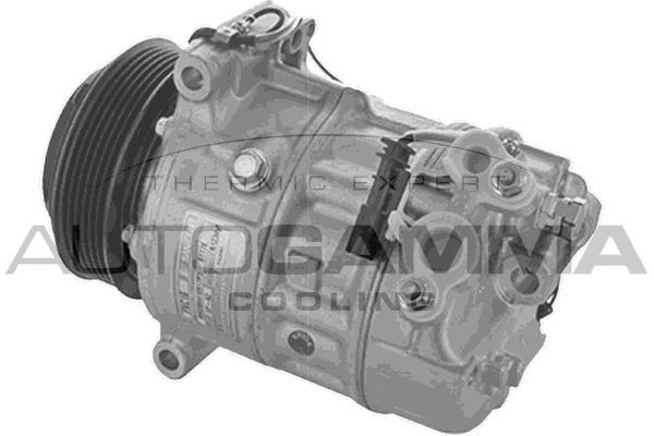 Kompresorius, oro kondicionierius AUTOGAMMA 118754