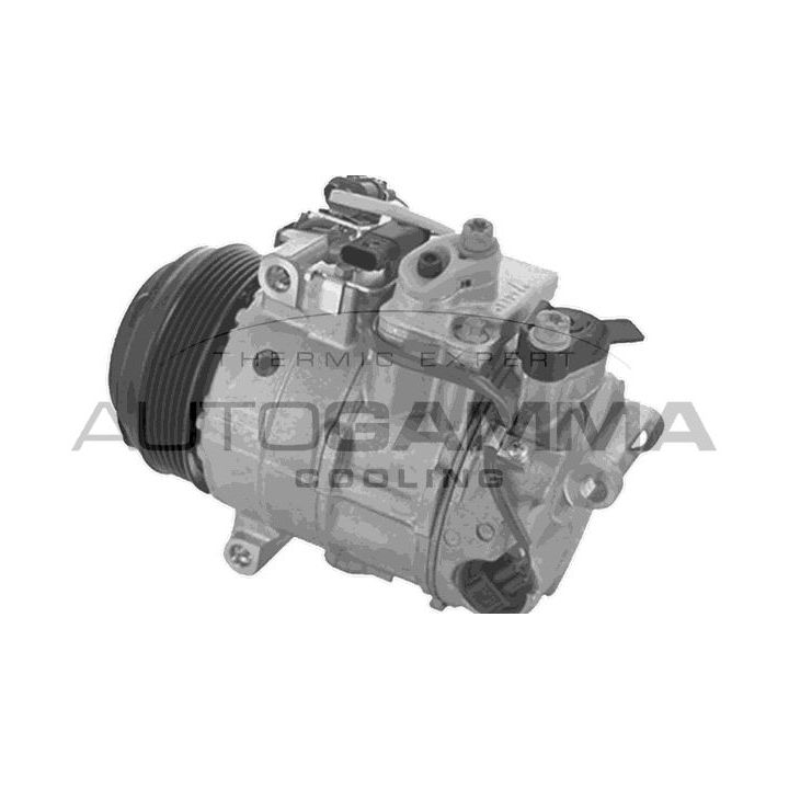 Kompresorius, oro kondicionierius AUTOGAMMA 118755