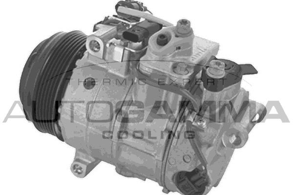 Kompresorius, oro kondicionierius AUTOGAMMA 118755