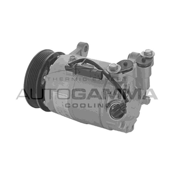 Kompresorius, oro kondicionierius AUTOGAMMA 118759