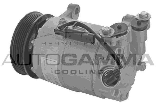 Kompresorius, oro kondicionierius AUTOGAMMA 118759