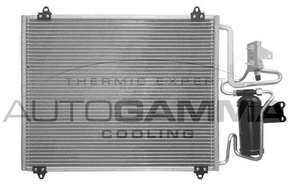 Kondensatorius, oro kondicionierius AUTOGAMMA 101813