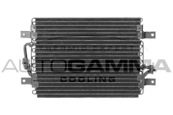 Kondensatorius, oro kondicionierius AUTOGAMMA 103161