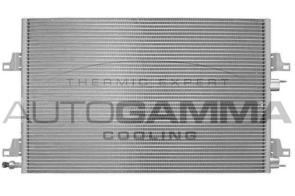 Kondensatorius, oro kondicionierius AUTOGAMMA 103308