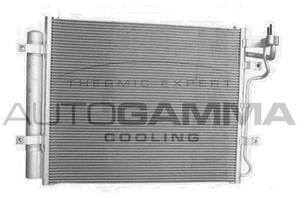 Kondensatorius, oro kondicionierius AUTOGAMMA 105542