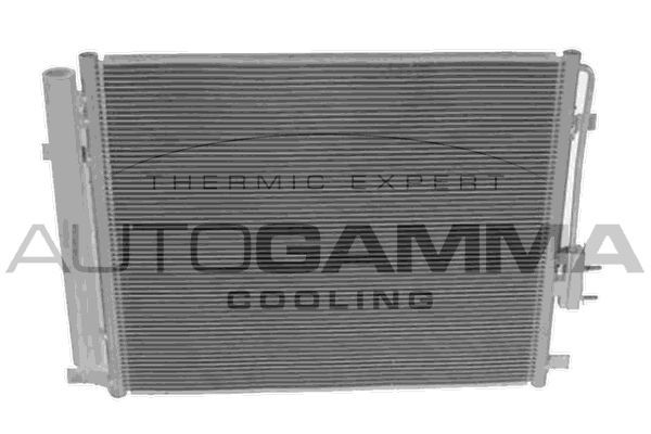 Kondensatorius, oro kondicionierius AUTOGAMMA 107385