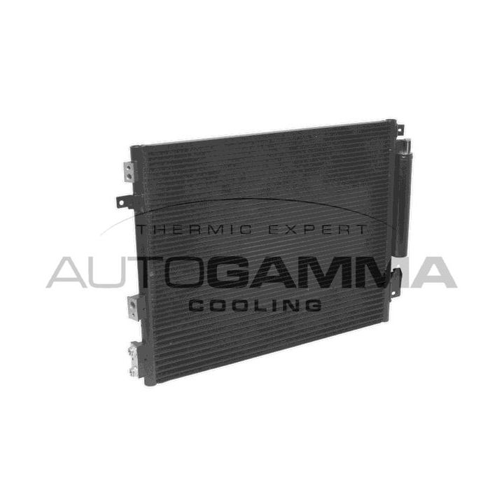 Kondensatorius, oro kondicionierius AUTOGAMMA 107880