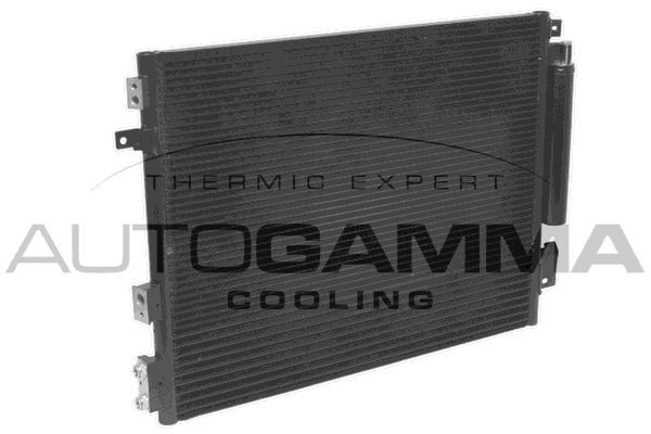 Kondensatorius, oro kondicionierius AUTOGAMMA 107880