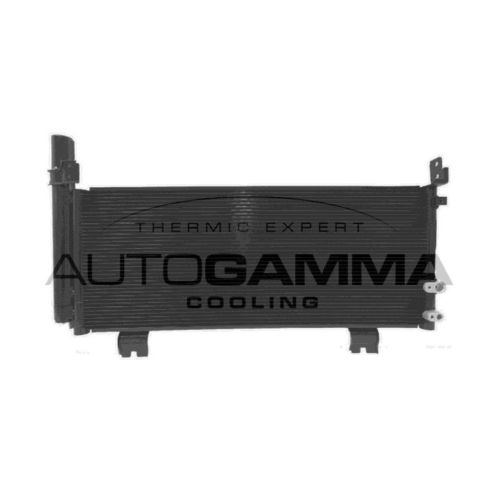 Kondensatorius, oro kondicionierius AUTOGAMMA 107881