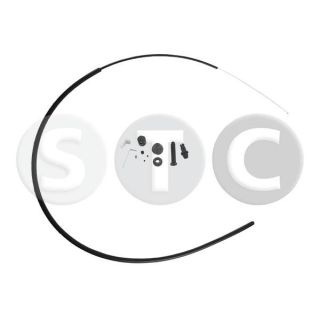 Akceleratoriaus trosas STC T480029