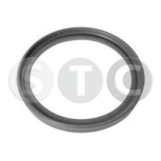 Tarpiklis, turbinos oro žarna STC T479284