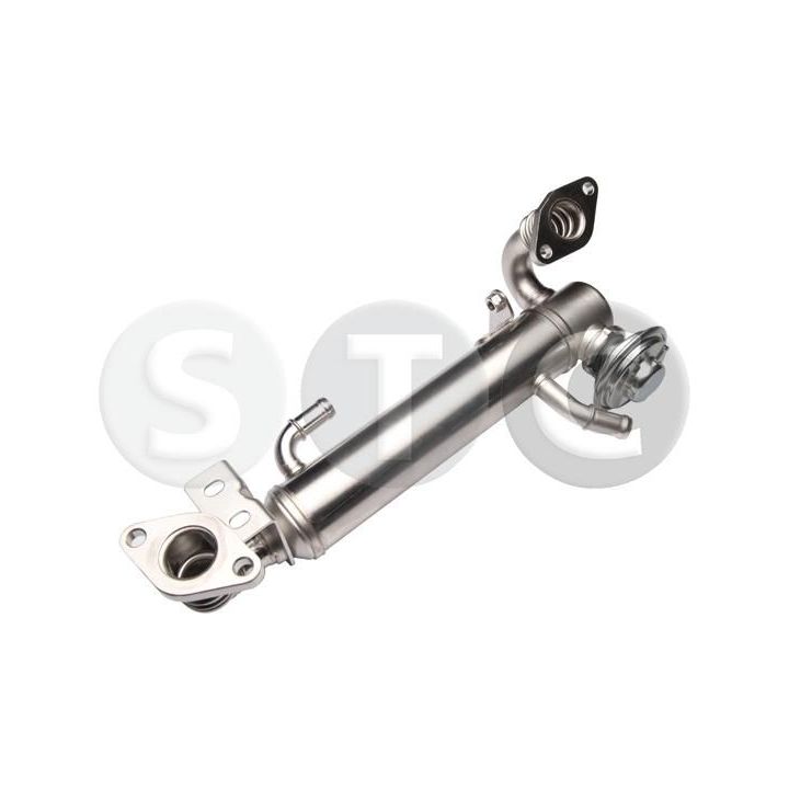 ERG modulis STC T493125