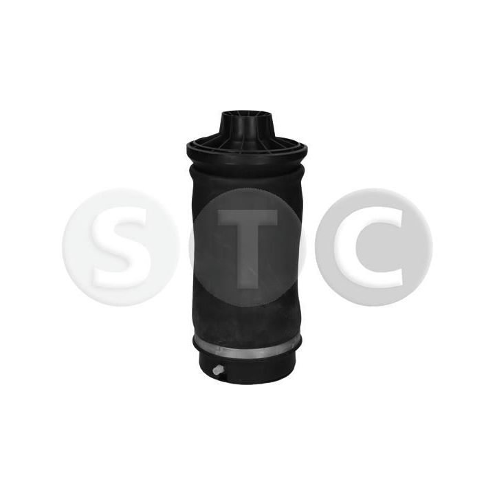 Pneumatinė spyruoklė, pakaba STC T442956