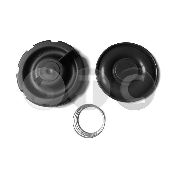 Membrana, karterio alsuoklis STC T497894