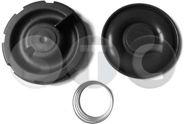 Membrana, karterio alsuoklis STC T497894