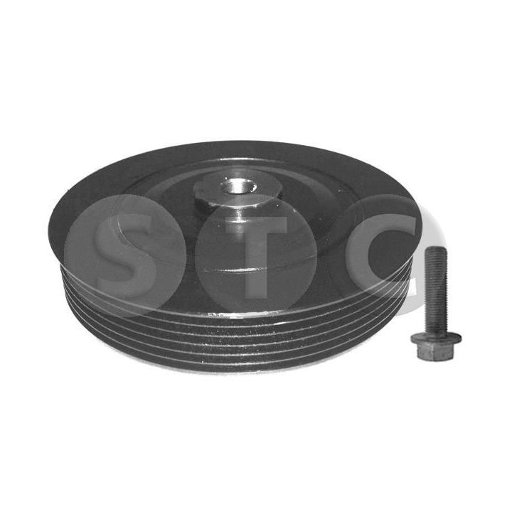 Alkūninio veleno skriemulių rinkinys STC T412849