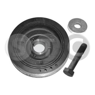 Alkūninio veleno skriemulių rinkinys STC T414477