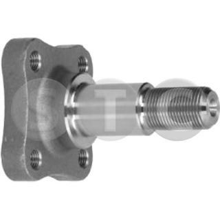 Ašies kakliukas, ašies korpusas STC T490130