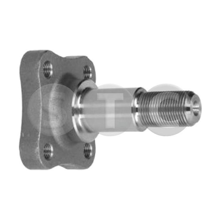 Ašies kakliukas, ašies korpusas STC T490130