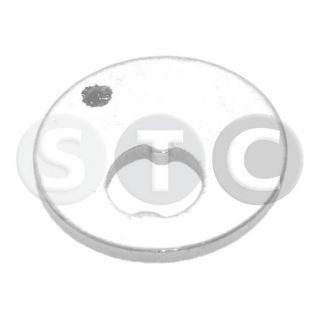 Gnybtas, atraminis buferis (ašies korpusas) STC T439272