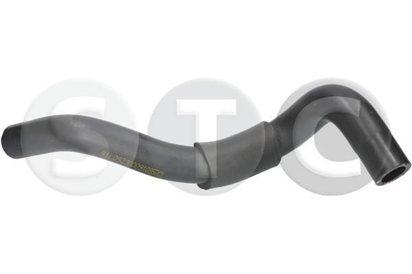 šildytuvo žarnelė STC T495001