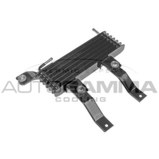 Alyvos aušintuvas, variklio alyva AUTOGAMMA 107808