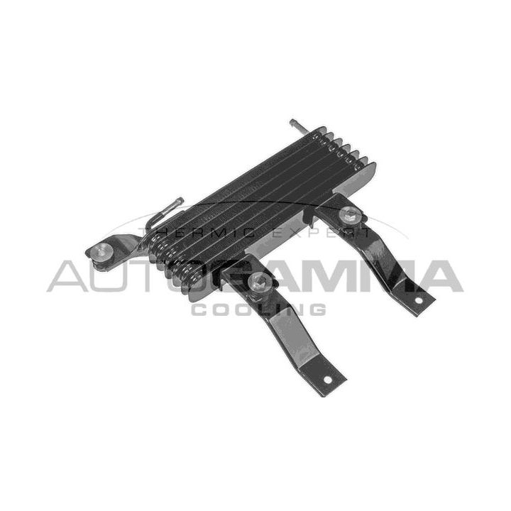 Alyvos aušintuvas, variklio alyva AUTOGAMMA 107808