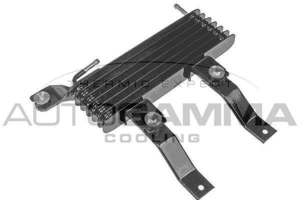 Alyvos aušintuvas, variklio alyva AUTOGAMMA 107808