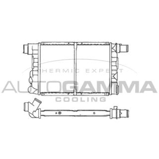 Radiatorius, variklio aušinimas AUTOGAMMA 100263