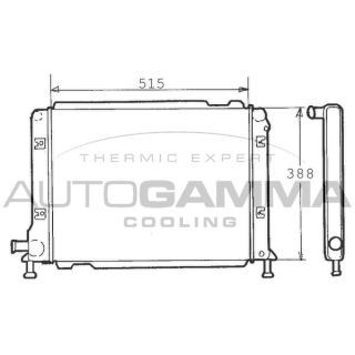 Radiatorius, variklio aušinimas AUTOGAMMA 100272