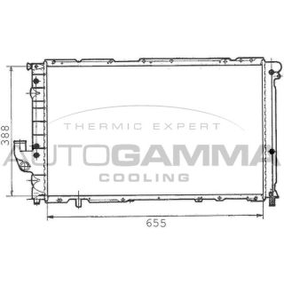 Radiatorius, variklio aušinimas AUTOGAMMA 100275