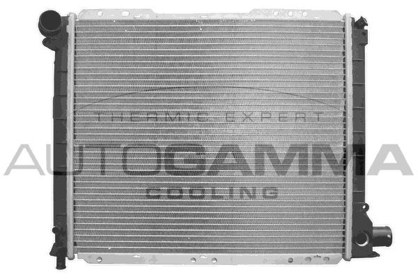 Radiatorius, variklio aušinimas AUTOGAMMA 100276