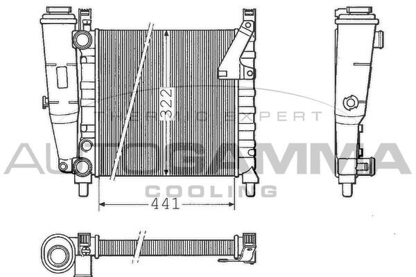 Radiatorius, variklio aušinimas AUTOGAMMA 100284