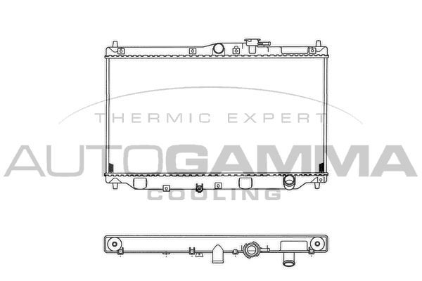 Radiatorius, variklio aušinimas AUTOGAMMA 100406