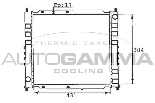 Radiatorius, variklio aušinimas AUTOGAMMA 100421