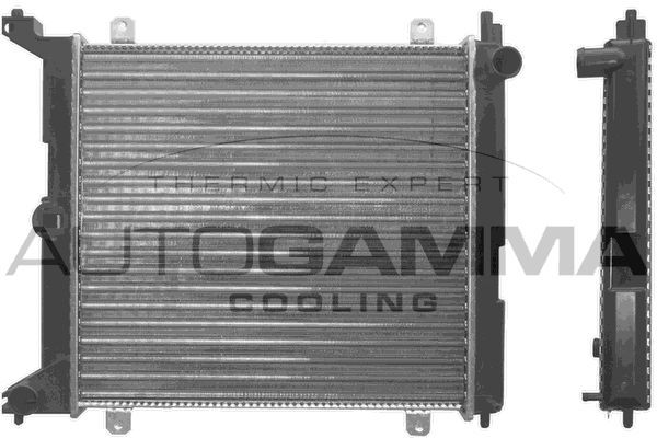 Radiatorius, variklio aušinimas AUTOGAMMA 100423