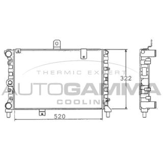 Radiatorius, variklio aušinimas AUTOGAMMA 100452