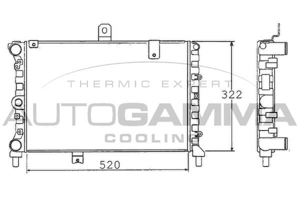 Radiatorius, variklio aušinimas AUTOGAMMA 100452