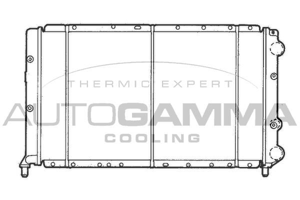 Radiatorius, variklio aušinimas AUTOGAMMA 100457