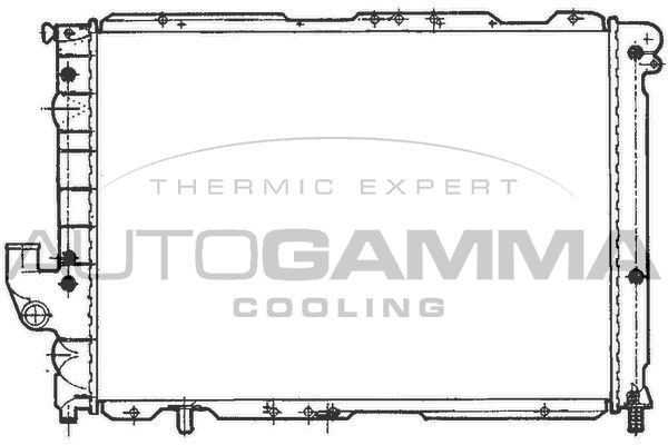 Radiatorius, variklio aušinimas AUTOGAMMA 100469