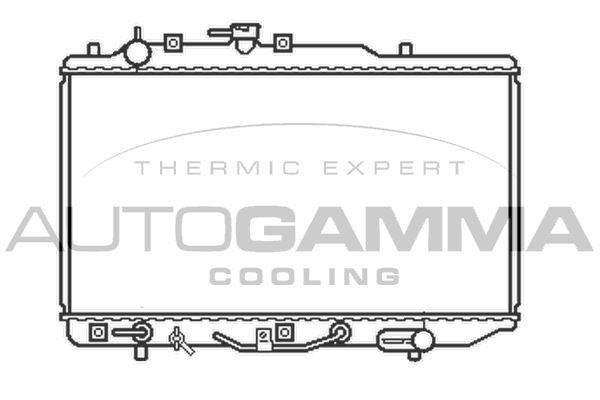 Radiatorius, variklio aušinimas AUTOGAMMA 100476