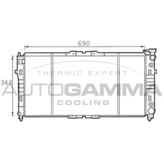 Radiatorius, variklio aušinimas AUTOGAMMA 100501