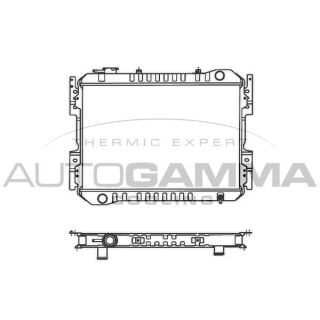 Radiatorius, variklio aušinimas AUTOGAMMA 100509